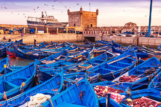 Essaouira tour