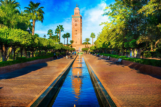 Marrakesh tour