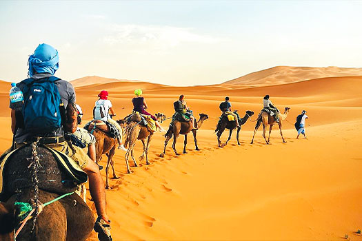 Luxury Family Desert Holiday